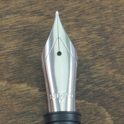 Jowo6.M.18kG.PlatinumPlated2.JPG