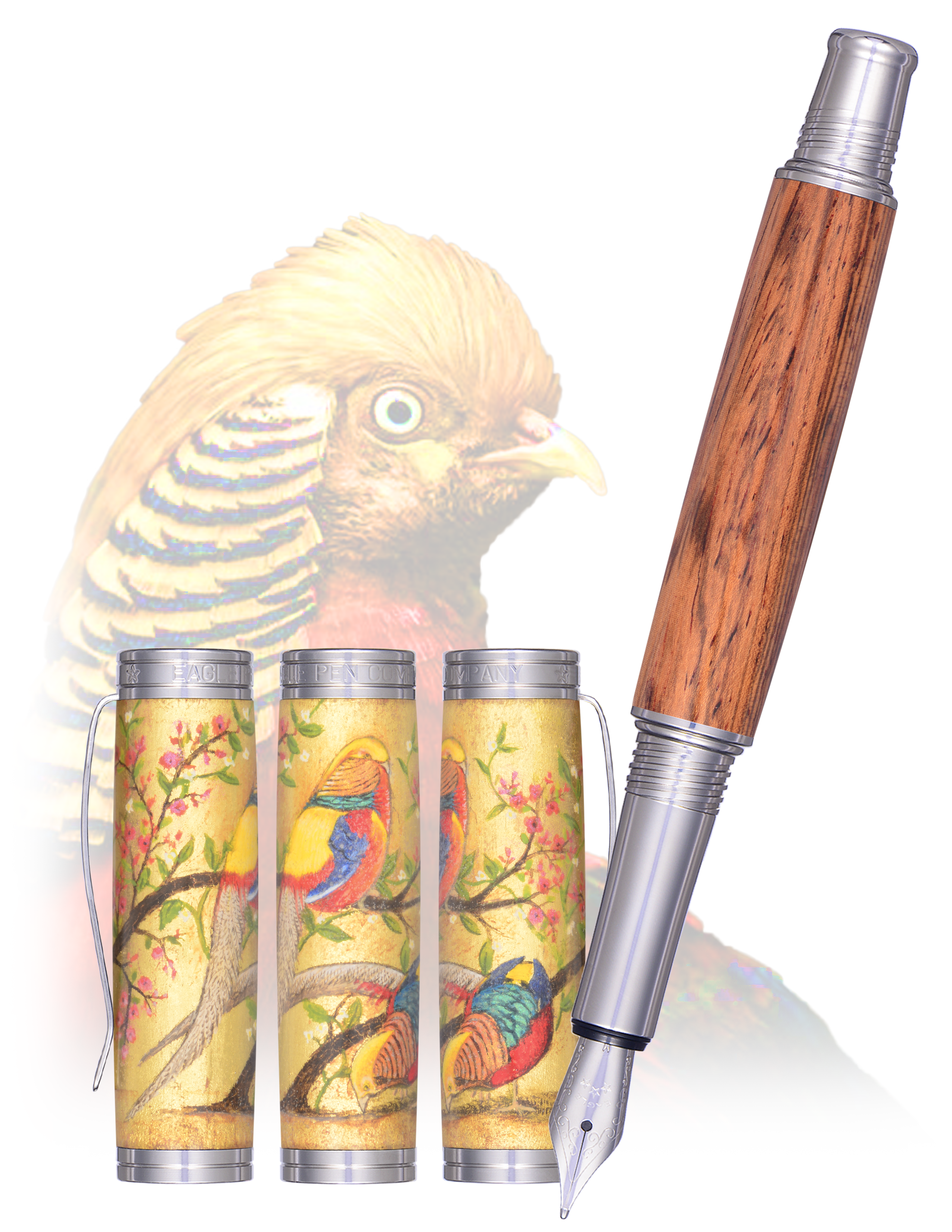 Golden Pheasant